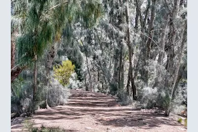 5915 Sea Ranch Drive #711, Hudson, FL 34667 - Photo 68