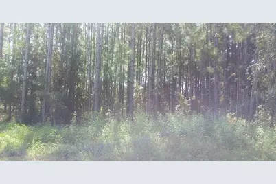 Poyner Road, Polk City, FL 33868 - Photo 2