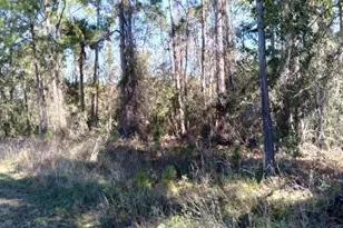 Poyner Rd, Polk City, FL 33868 - Photo 1
