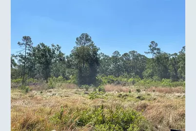 Avonwood, Tampa, FL 33625 - Photo 1