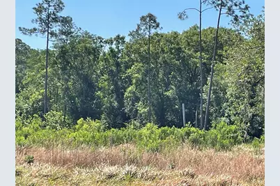 Avonwood, Tampa, FL 33625 - Photo 12