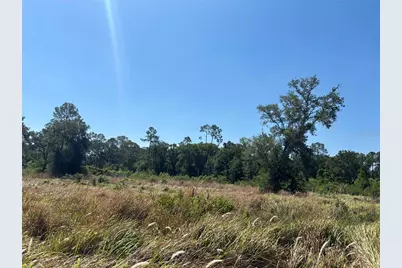 Avonwood, Tampa, FL 33625 - Photo 6