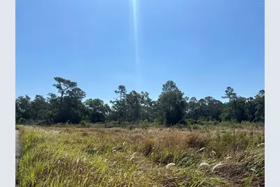 Avonwood, Tampa, FL 33625 - Photo 8