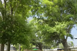 5210 Dr Martin Luther King Jr St N St, Saint Petersburg, FL 33703 - Photo 16