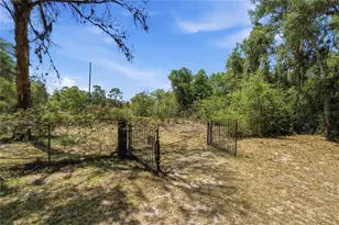 3105 Walk in Water Rd, Lake Wales, FL 33898 - Photo 44