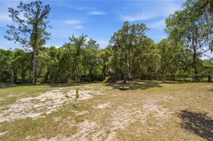3105 Walk in Water Rd, Lake Wales, FL 33898 - Photo 54