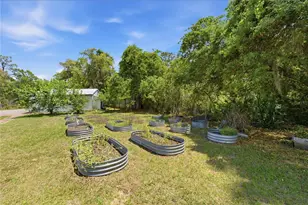 3105 Walk in Water Rd, Lake Wales, FL 33898 - Photo 46