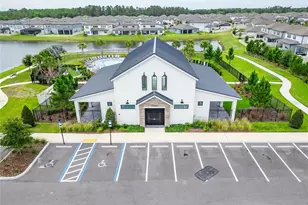 3899 Ivy Spgs Ln, Land O Lakes, FL 34638 - Photo 62