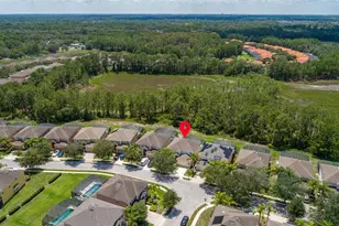 986 Orange Cosmos Blvd, Davenport, FL 33837 - Photo 78