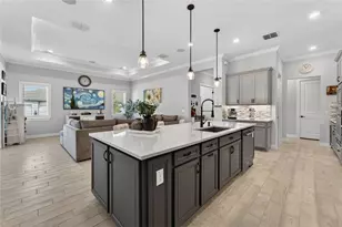 18752 Horizon Vw Pt, Land O Lakes, FL 34638 - Photo 12