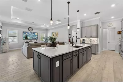 18752 Horizon View Point, Land O Lakes, FL 34638 - Photo 12