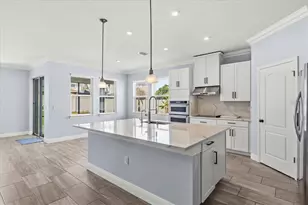 4385 Silver Creek St, Kissimmee, FL 34744 - Photo 10