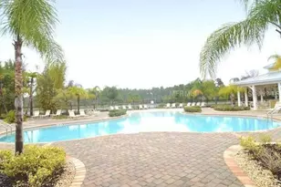 14422 Desert Haven St, Windermere, FL 34786 - Photo 28