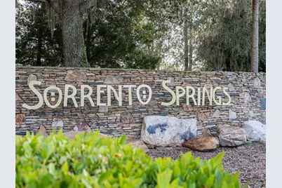 34142 Madiera Lane, Sorrento, FL 32776 - Photo 52