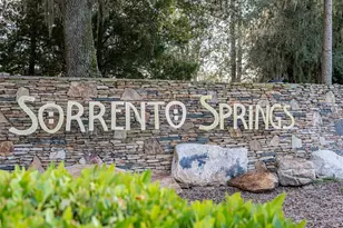 34142 Madiera Ln, Sorrento, FL 32776 - Photo 52