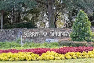 34142 Madiera Ln, Sorrento, FL 32776 - Photo 60
