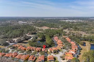 113 Tigerlily Ct, Davenport, FL 33837 - Photo 88