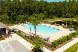 1315 Fox Squirrel Dr, Davenport, FL 33897 - Photo 28