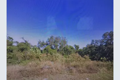 407 Baltic Court, Kissimmee, FL 34759 - Photo 1