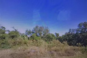 407 Baltic Ct, Kissimmee, FL 34759 - Photo 1