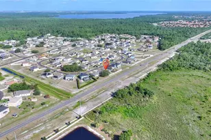 169 Big Black Dr, Kissimmee, FL 34759 - Photo 44