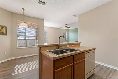 169 Big Black Drive, Kissimmee, FL 34759 - Photo 18