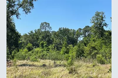 Ardenwood, Tampa, FL 33625 - Photo 4