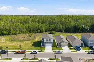 17786 Acorn Drop Rd, Land O Lakes, FL 34638 - Photo 4