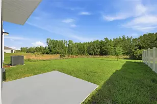 17786 Acorn Drop Rd, Land O Lakes, FL 34638 - Photo 48