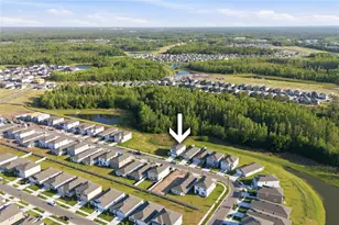 17786 Acorn Drop Rd, Land O Lakes, FL 34638 - Photo 44