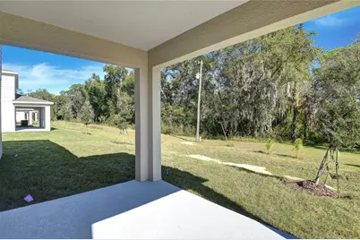 1010 Cloud Ridge Court, Mount Dora, FL 32757 - Photo 18