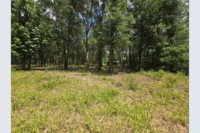 0 SW 15th Place, Ocala, FL 34481 - Photo 4