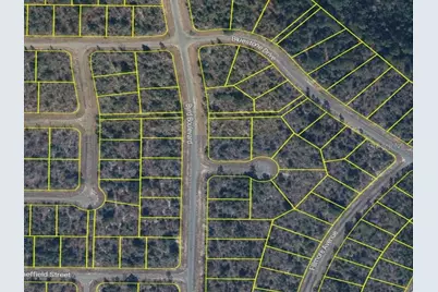 Byrd Blvd Chipley, Sunny Hills, FL 32428 - Photo 1