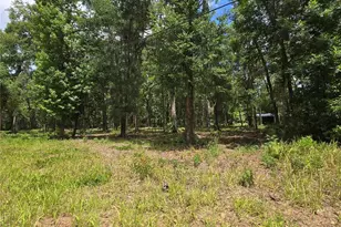 0 SW 15th Pl, Ocala, FL 34481 - Photo 1