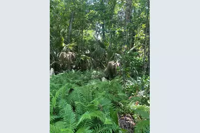 1735 Timocuan Way, Longwood, FL 32750 - Photo 24