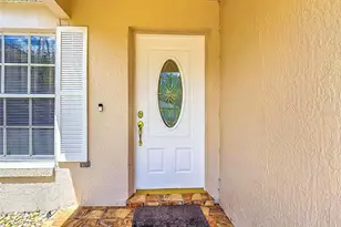 785 Mink Ct, Kissimmee, FL 34759 - Photo 8