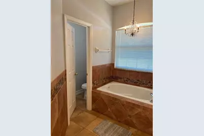 413 Marlberry Leaf Avenue, Kissimmee, FL 34758 - Photo 18