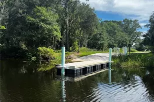 3601 Hidden River Ln, Tavares, FL 32778 - Photo 46