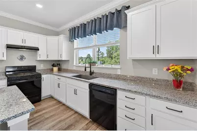 19474 Ship Wheel Way, Land O Lakes, FL 34638 - Photo 4