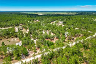 14671 SE 25 St, Morriston, FL 32668 - Photo 22