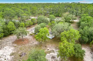 14671 SE 25 St, Morriston, FL 32668 - Photo 30