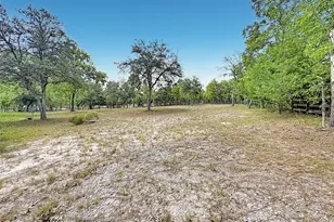 14671 SE 25 St, Morriston, FL 32668 - Photo 26