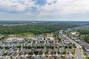 17325 Bracken Fern Ln, Clermont, FL 34714 - Photo 56