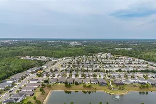 17325 Bracken Fern Ln, Clermont, FL 34714 - Photo 46