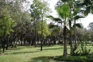 1529 Indian Oaks Trail, Kissimmee, FL 34747 - Photo 32