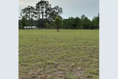 974 SW Sherlock Terrace, Lake City, FL 32024 - Photo 6