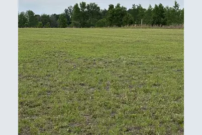 974 SW Sherlock Terrace, Lake City, FL 32024 - Photo 12