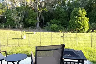 3120 Goose Rd, Davenport, FL 33837 - Photo 28
