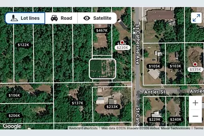 792 St Catherine Avenue, Christmas, FL 32709 - Photo 4