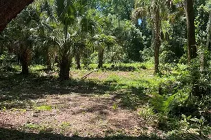 1735 Timocuan Way, Longwood, FL 32750 - Photo 16
